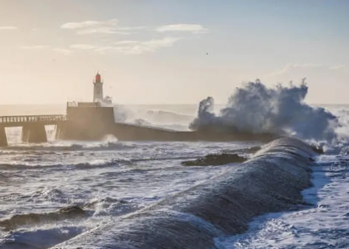 T2 Face A La Mer, 4 Couchages, D'olonne - Proche Et Marche - Fr-1-325-9 *