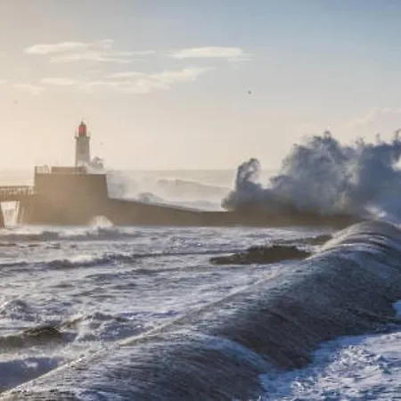 Appartement T2 Face A La Mer, 4 Couchages, Les Sables D'Olonne - Proche Plage Et Marche - Fr-1-325-9 *